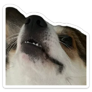 Стикер Марсель - 0