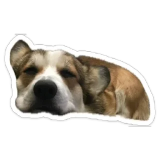 Стикер Марсель - 6