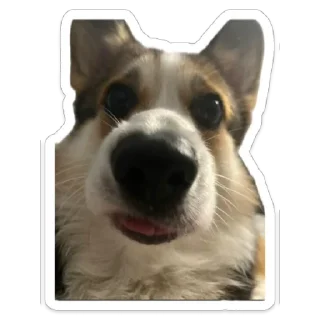 Стикер Марсель - 7