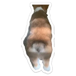 Стикер Марсель - 11