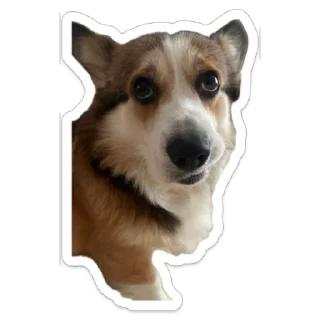 Стикер Марсель - 1