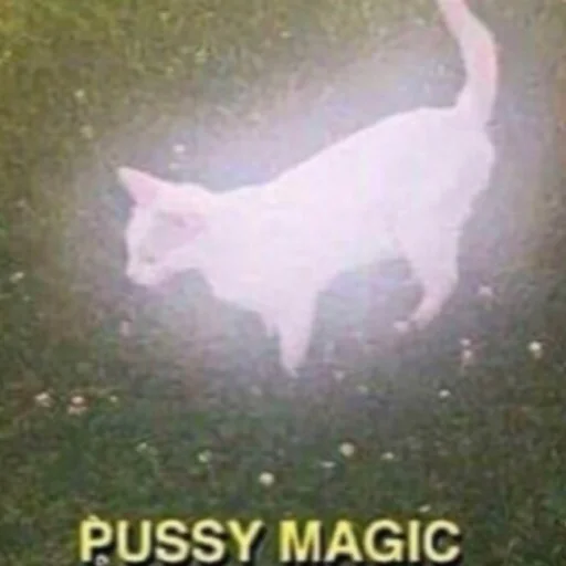 СМС животное млекопитающее