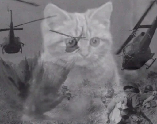 млекопитающее кошка кошки малого и среднего размера