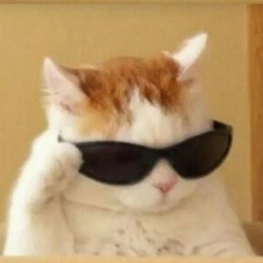 Стикер Nepoon - 1