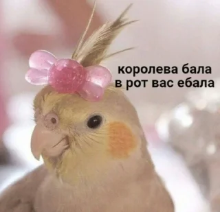 Sticker Femme fatale - 4