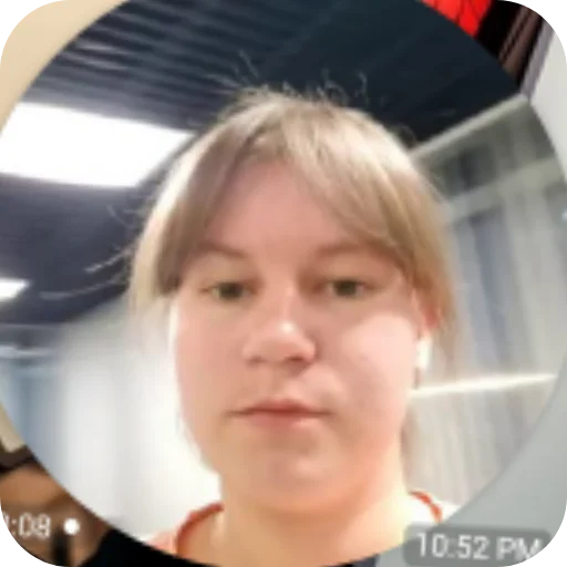 Sticker NetVremeniObyasnyatSujAnanasVZhopu4 - 1