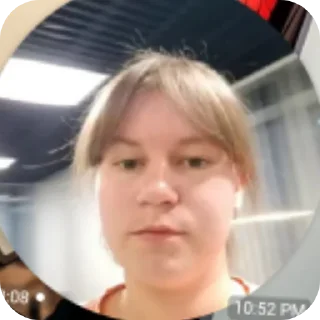 Sticker Нет времени объяснять суй ананас в жопу - 0