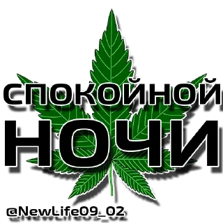 Sticker @NewLife09_02 - 10