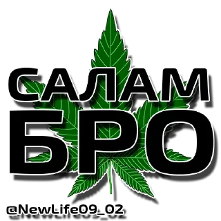 Sticker @NewLife09_02 - 2