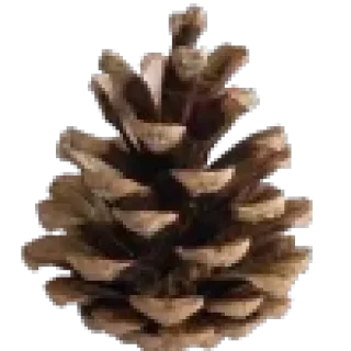 Sticker NewYearAesth [@stickB00K] - 8