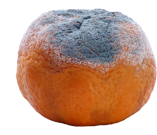 Freakin' Soviet NewYear by @eternalduck - 