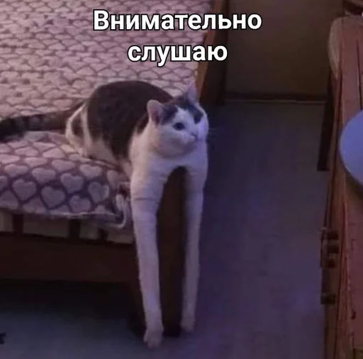 Рофлан булдыга 2 :: @fStikBot - млекопитающее