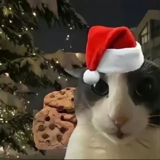 Sticker NEWYEAR_CATS @MoiStikiBot - 2