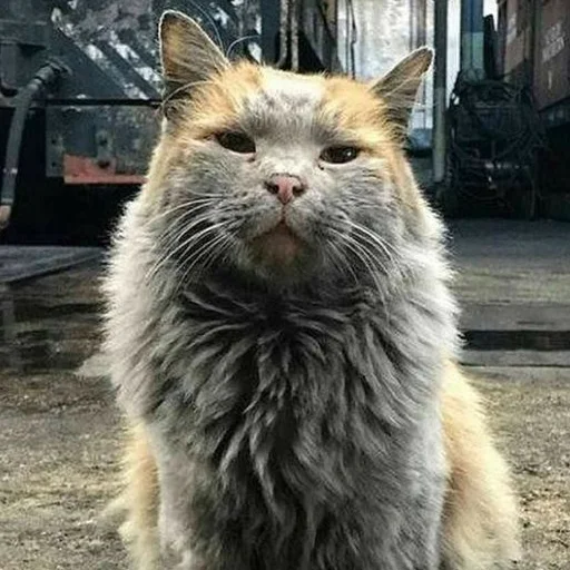 Стикер Заводской Незарплатный Гречневый - 11