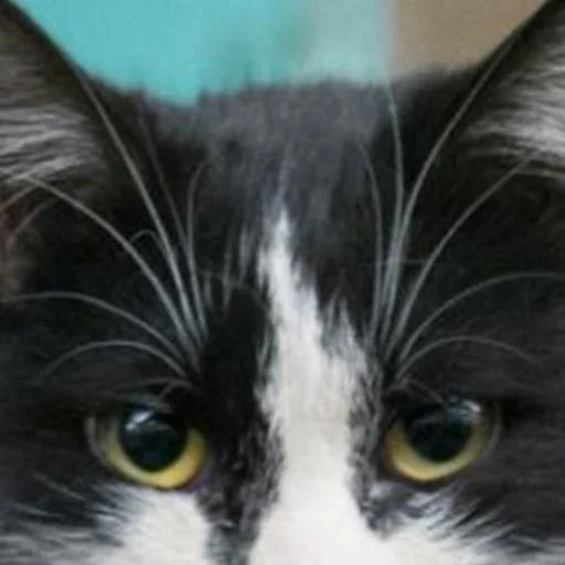 Стикер Заводской Незарплатный Гречневый - 10