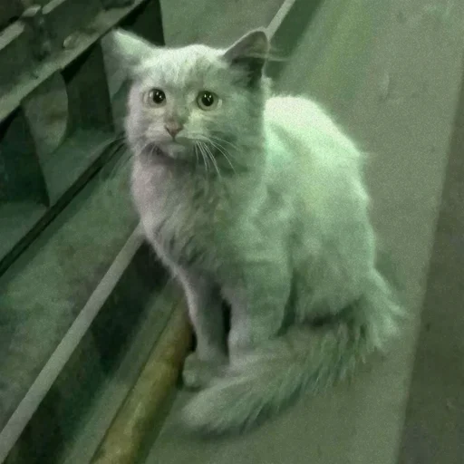 Стикер Заводской Незарплатный Гречневый - 7