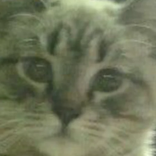 Стикер Заводской Незарплатный Гречневый - 5