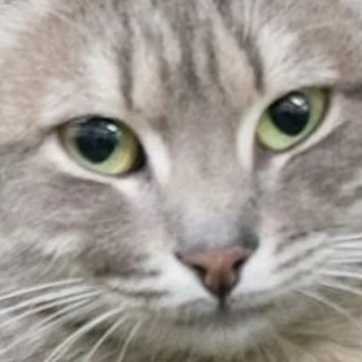 Стикер Заводской Незарплатный Гречневый - 3