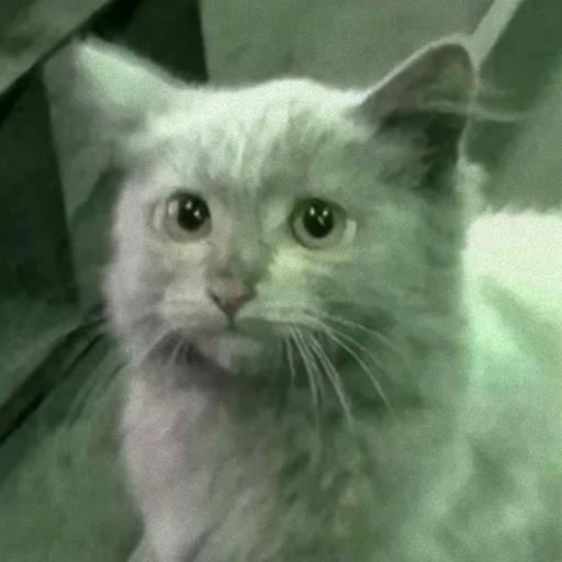 Стикер Заводской Незарплатный Гречневый - 1