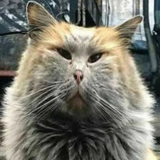 Стикер Заводской Незарплатный Гречневый - 0