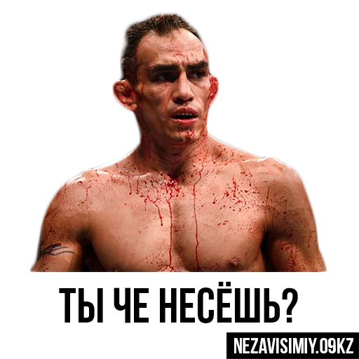 Sticker Nezavisimiy.09kz - 10