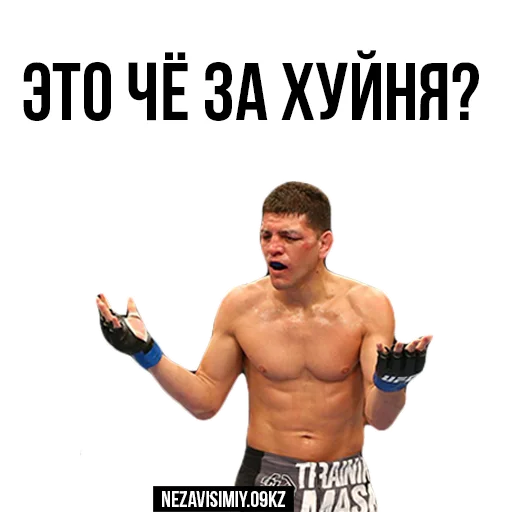 Sticker Nezavisimiy.09kz - 6