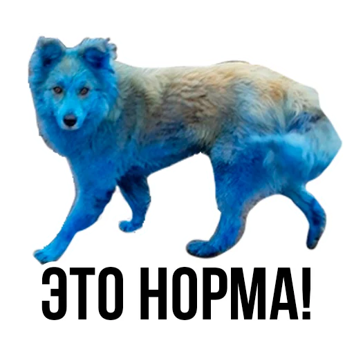 Sticker NiNo_Stickerpack - 7