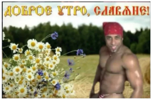 Sticker /НИБАЛЕЙ ? - 8