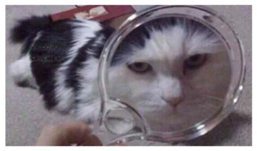 Sticker /НИБАЛЕЙ ? - 0