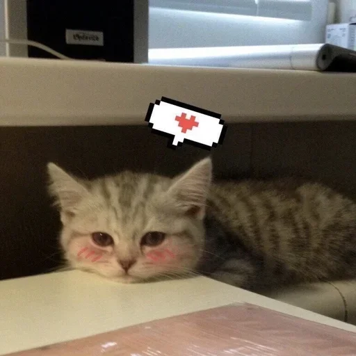 Sticker Nichë by @fStikBot - 2