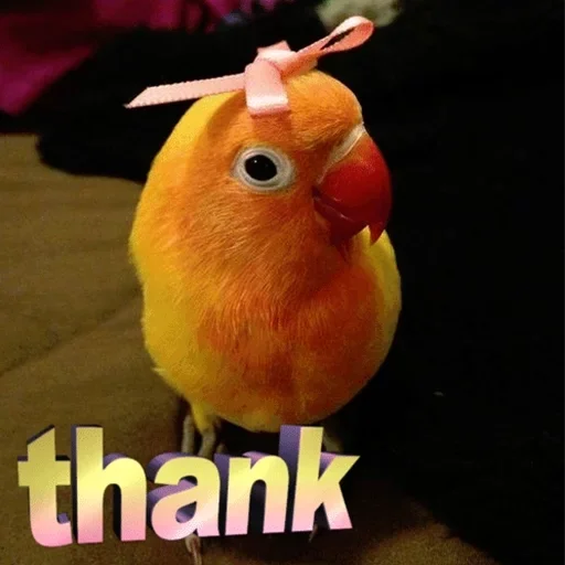 Nichë by @fStikBot - 