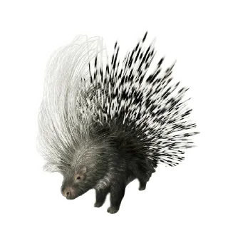 Стикер Ничинька💥💥 - 1