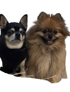 Sticker Nick&Lily - 8