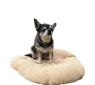 Sticker Nick&Lily - 1