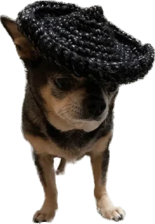 Sticker Nick&Lily - 3