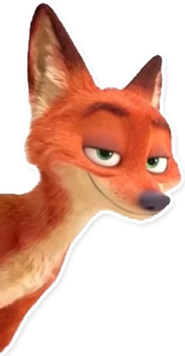 animal mammal fox