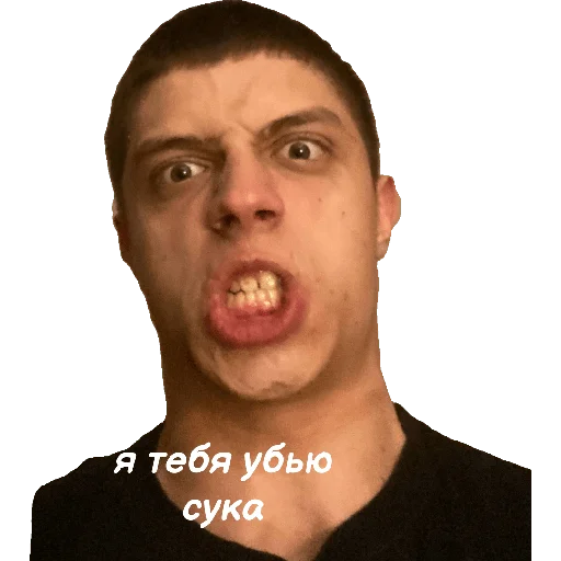 Sticker Nigeeeerrrs - 1