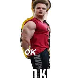 Стикер Гавнодавы - 1