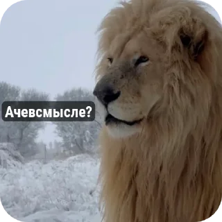 Стикер Стики🦔 - 10