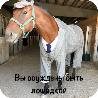 Стикер Стики🦔 - 3