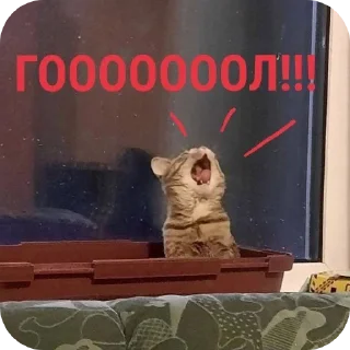 Стикер Стики🦔 - 11