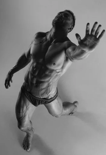 мышца черно-белый грудь