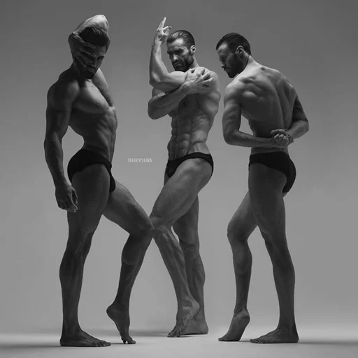 бедро предмет нижнего белья желудок