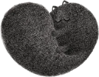 Стикер Night Cat - 11