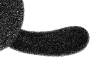 Стикер Night Cat - 6