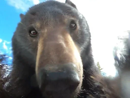 Sticker NightDay123 - 1