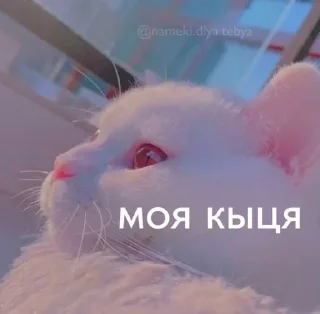 Sticker Шалупынька - 2