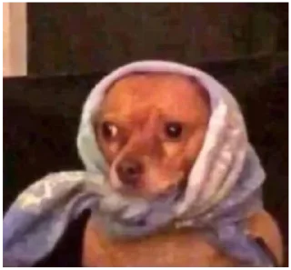 Sticker Шалупынька - 4