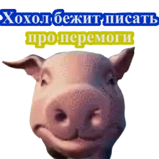 Стикер NIGHTSCAM - 9