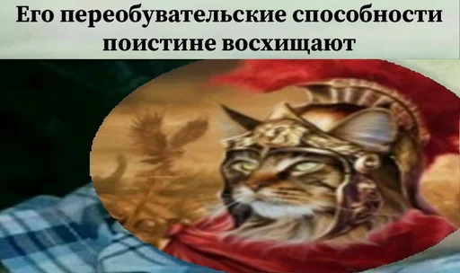 животное млекопитающее кошка